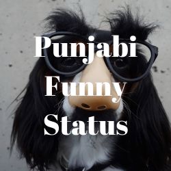 punjabi-funny-status
